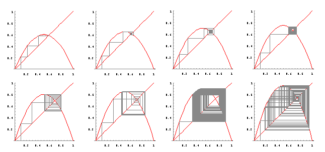 array of bifurcation images